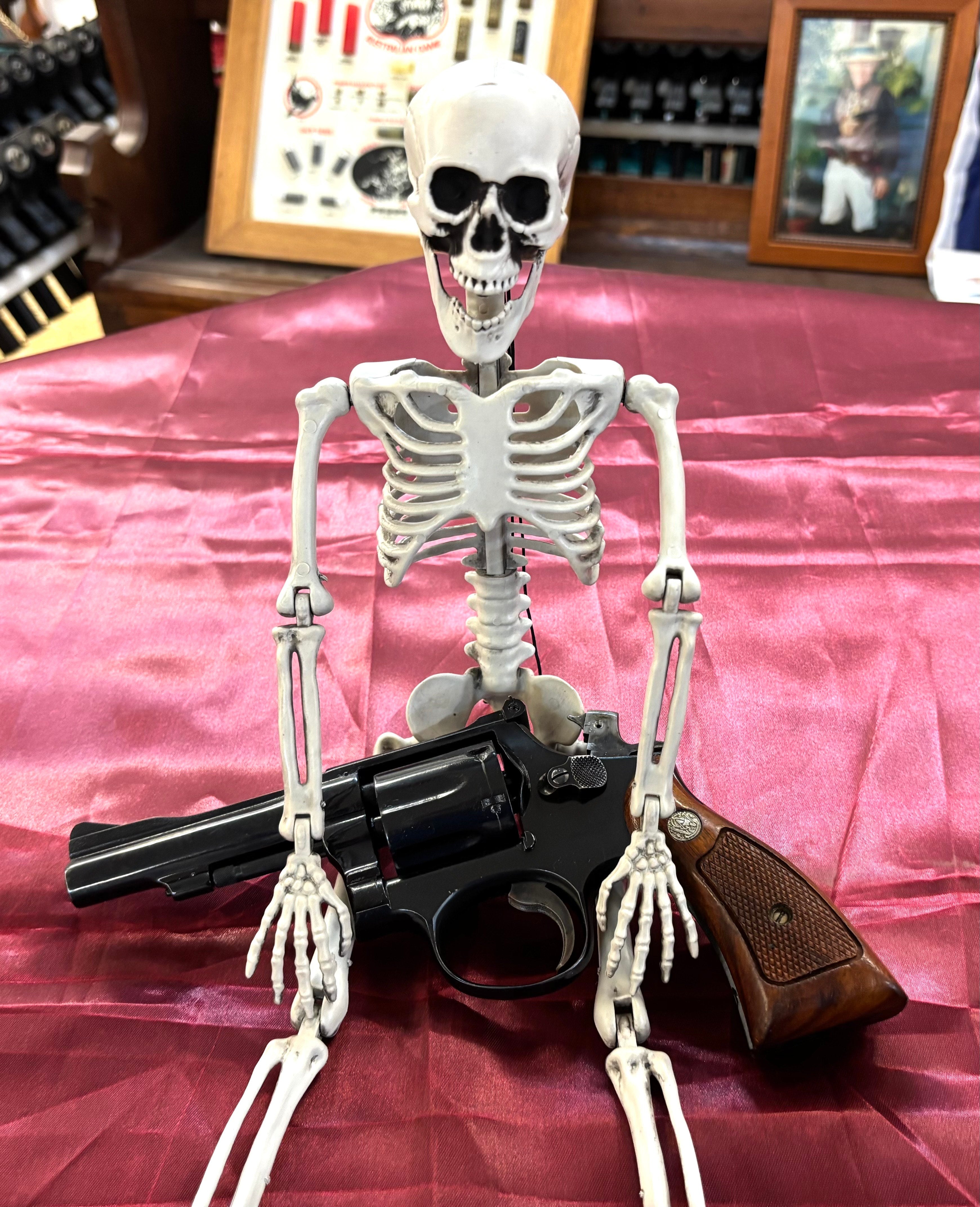 Smith & Wesson Model 15 - Halloween 2025