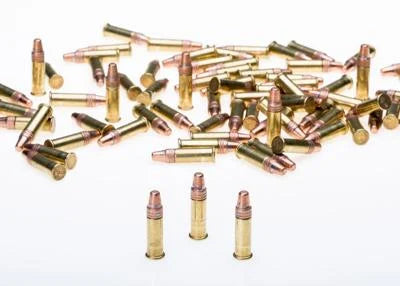 ONLINE ONLY Winchester 22LR Bulk Ammo Special