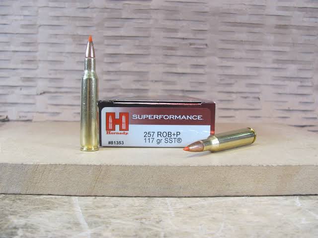 HORNADY 257 ROB 117gr SST H81353