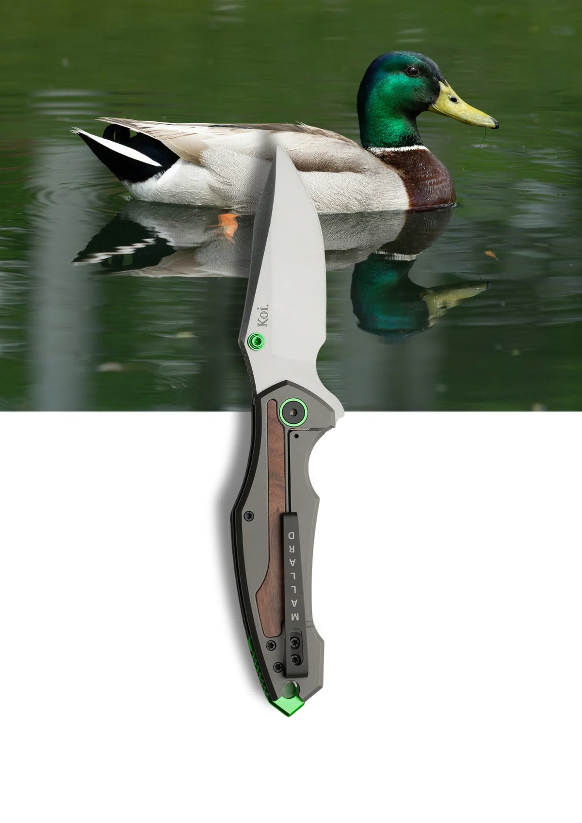 KOI KNIFE MALLARD DUCK FOLDER