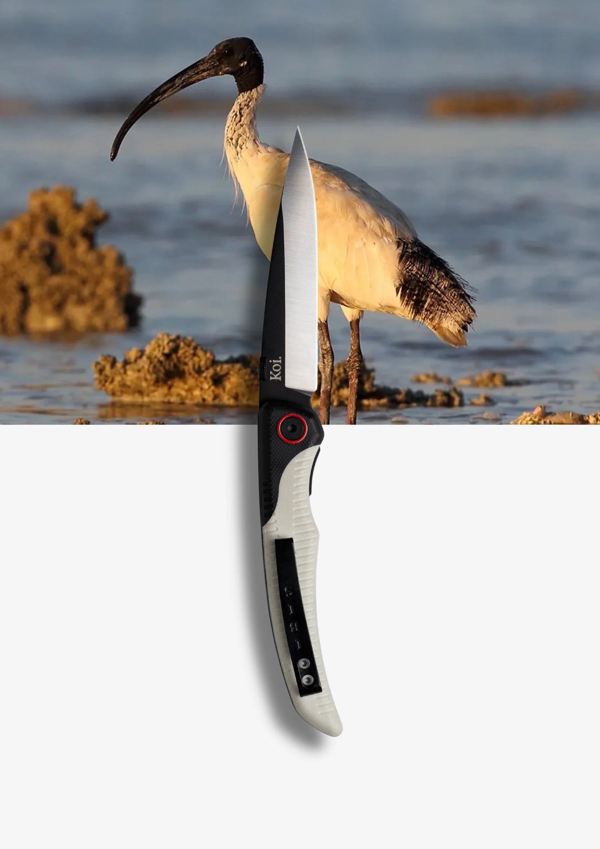 KOI KNIFE WHITE IBIS KOI-001-IBIS