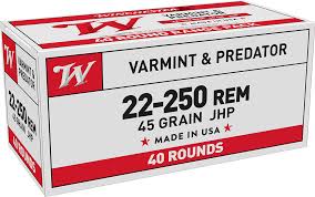 WIN 22-250 45 JHP USA222502